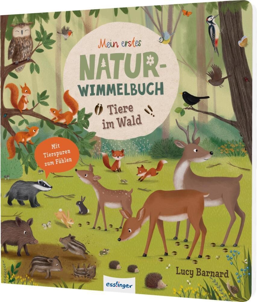 Tiere im Wald Sibylle Schumann - Bild 4