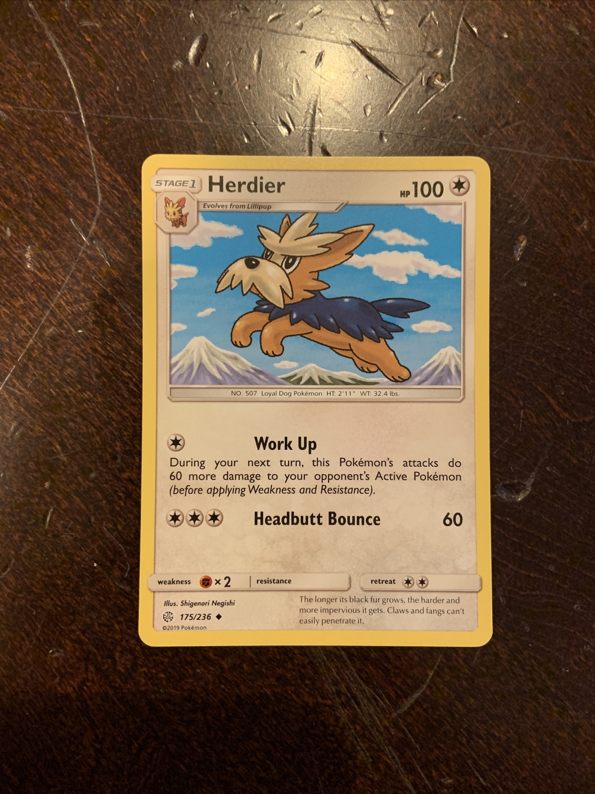Pokemon TCG: S&M Cosmic Eclipse - UNCOMMON Herdier 175/236 - EX