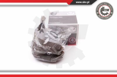 ESEN SKV 29SKV263 Wheel Bearing Kit for Volvo