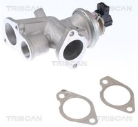 Triscan Agr-Ventil 8813 24203 FüR Opel