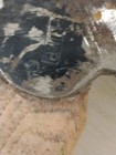 Picture 3 of 11