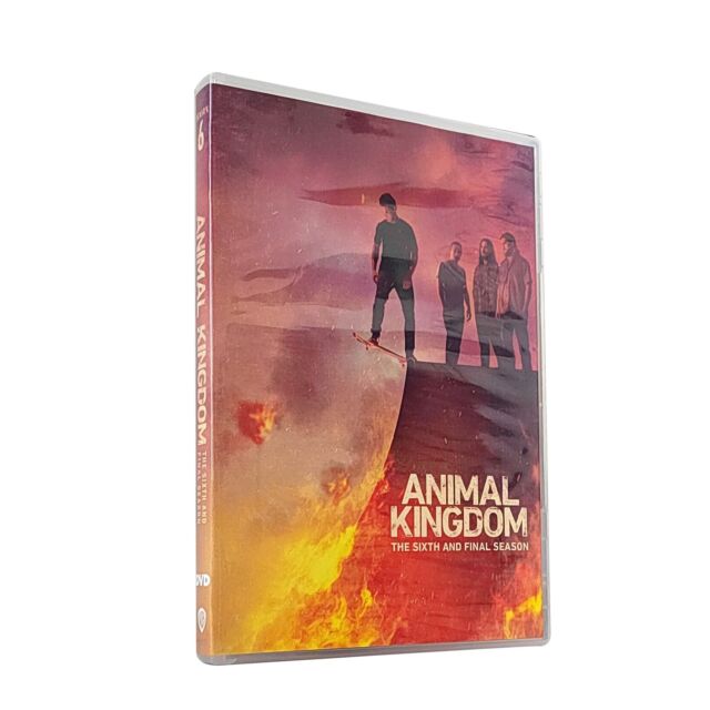NEW Animal Kingdom Season 6 3DVD