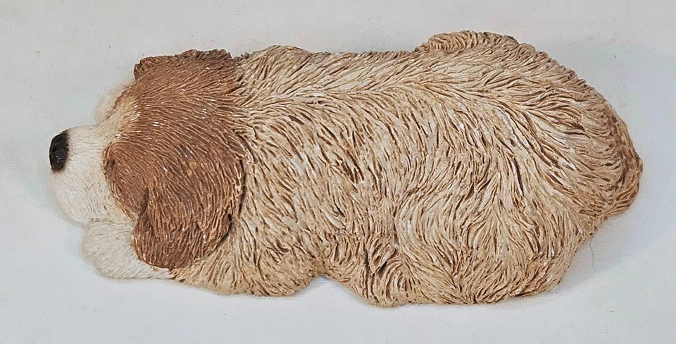 Estatuilla de perro durmiendo Sandicast acurrucarse resina marrón y blanca Sandra Brue Foto 3 de 4
