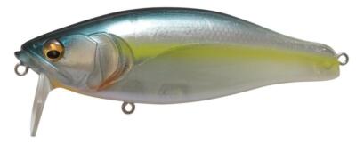 Megabass I-Jack Topwater Wake Bait