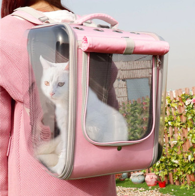 cat shoulder carrier