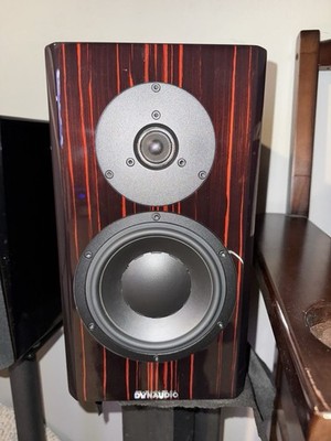 DynAudio Speakers Special 40 s Pair in Black Vine High Gloss