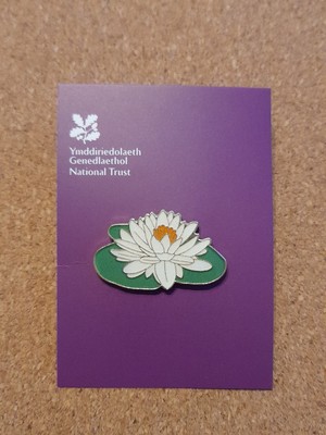 National Trust STACKPOLE ESTATE Water Lily Charity Pin Badge