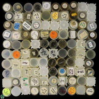 Lot of 100 Penny Coin Tubes Great for Roll Sorting USED