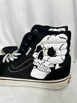 Vans Fillmore Hi Skull Men