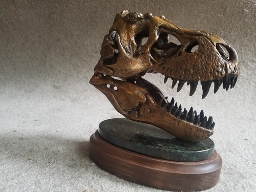 JTS T-Rex Bronze Replica Skull NEW Tyrannosaurus Rex MUSEUM QUALITY Solid Bronze - Picture 2 of 3