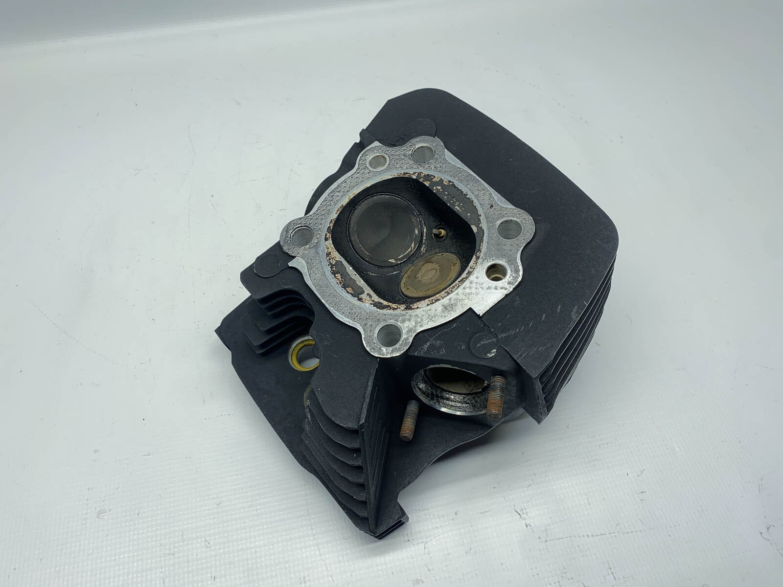 Harley-Davidson 1672599 online kaufen | eBay 