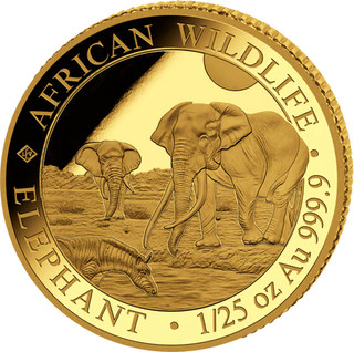Somalia 50 Sh. 2026 Elefant Wildlife 1/25 Oz Gold 999.9 PP /Proof