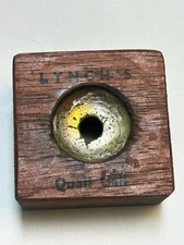 M L Lynch Quail call- RARE W/ 306 Edgewood Blvd.  Birmingham 9 Ala.  wooden