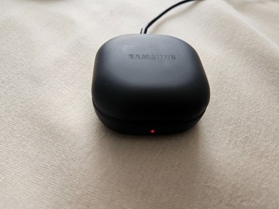 Samsung Galaxy Buds2 Pro Lade Case