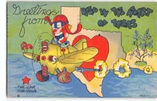 WWII mail Airplane, Aviation Theme Funny Comic~TEXAS humor TX Linen Postcard -N1