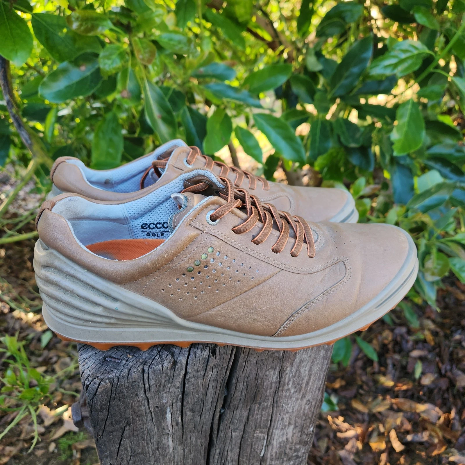 Scarpe da golf Ecco Hydromax 42 (US 8 8.5) in pelle marrone senza punte