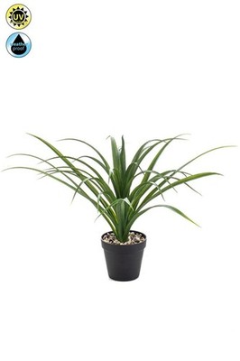 artplants Kunstpflanze Yucca rostrata Pollyanna, Dekotopf, crossdoor, 35cm