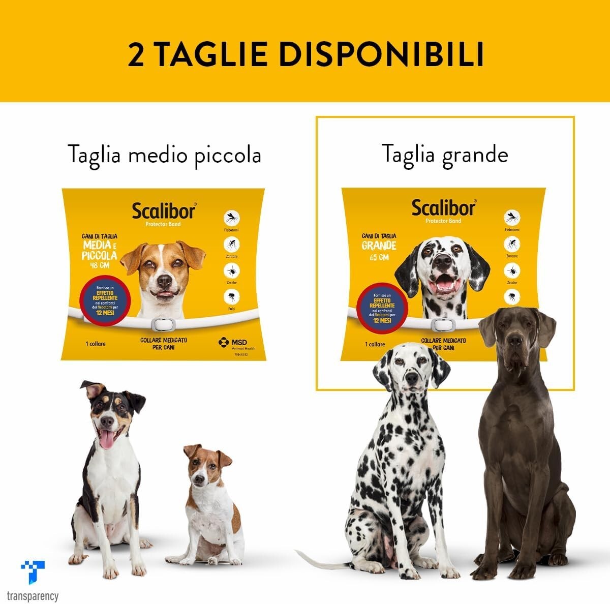 Foto 2 di 6