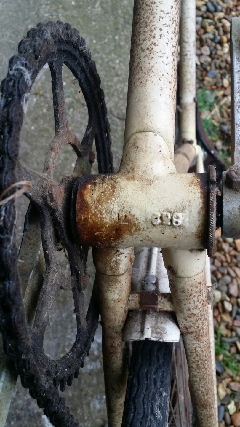 Picture 4 of 10