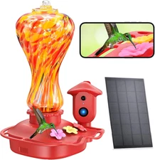 Smart Glass Hummingbird Feeder, Solar Powered, 2K HD, Hanging, Leak-Proof	