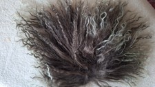 RARITÄT: Tibetlamm, dunkelbraun gespitzt , 10 x 12 cm