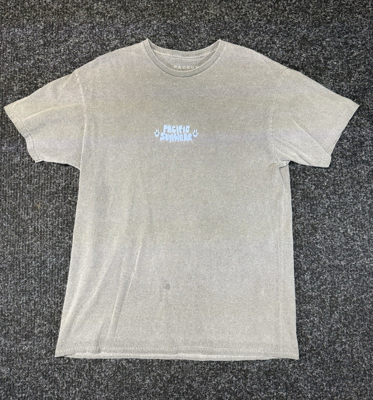 PacSun Gray Logo Graphic Print Double-Sided Short Sleeve Crew Neck T-Shirt M