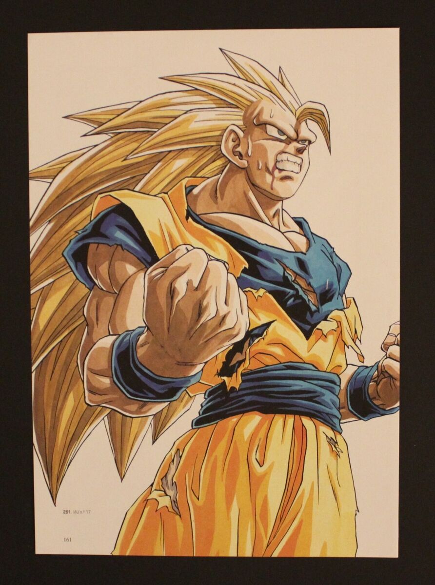 1996 Dragon Ball DOUBLE-SIDED MINIPOSTER 2 Posters in 1 