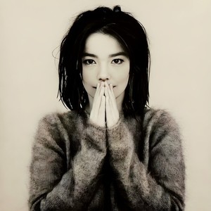 Bjork Debut Poster | eBay