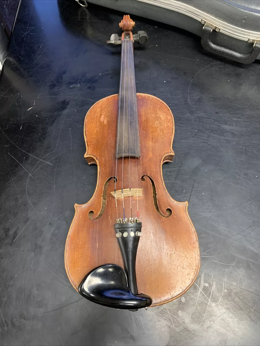 Nicolaus amatus violin online