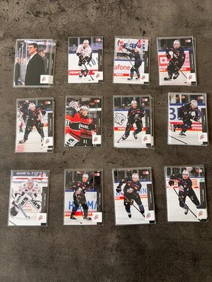 DEL Trading Cards Nürnberg Ice Tigers Playercards Eishockey Zustand 2025-2026