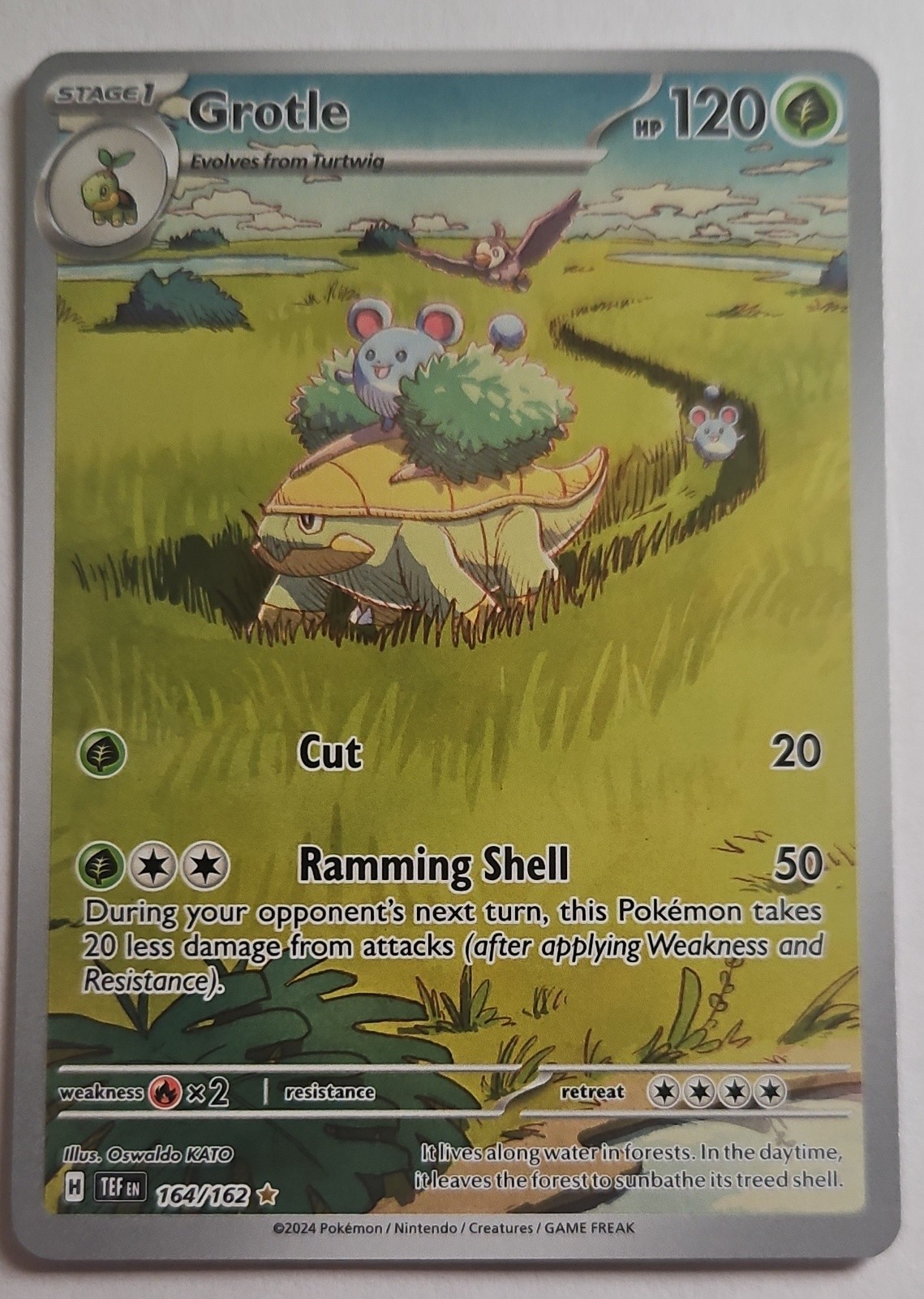 Grotle 164/162 SV05: Temporal Forces Holo