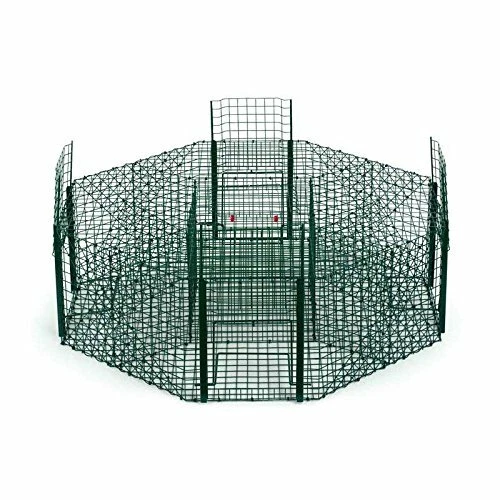 JAULA TRAMPA OCTOGONAL - Imagen 3 de 3