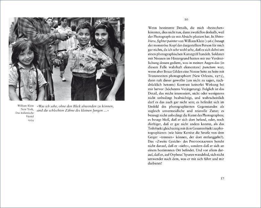 Thumbnail - Die Helle Kammer Roland Barthes