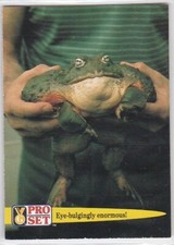 M) 1992 Pro Set Facts and Feats Guinness Trading Card #57 Marine Toad