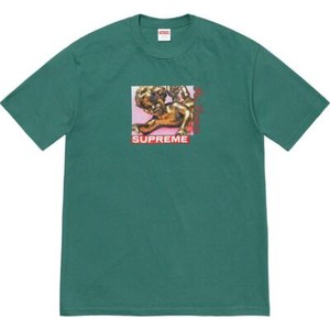 teal supreme shirt