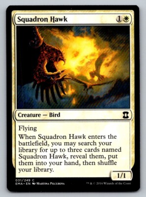 Squadron Hawk Masters 25 Regular