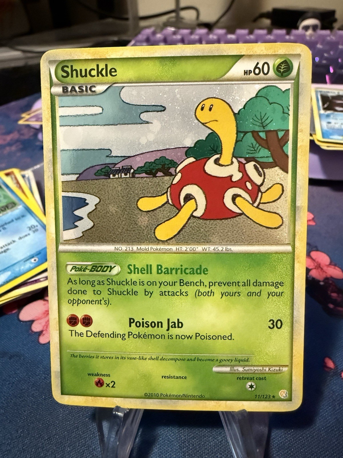 Shuckle 11/123 Holo Rare HeartGold SoulSilver Base Set Pokemon Card NM