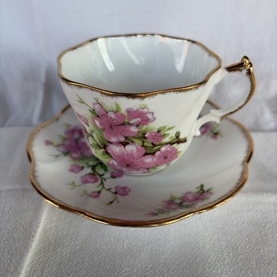 Salisbury Bone China England Tea Cup and Saucer #2520B