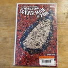 The Amazing Spider-Man #700 (Marvel Comics February 2013)