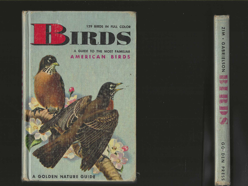 Birds 1964 Herbert Zim Golden Nature Guide USA Species Color Pics vintage Hardbk - Photo 1/8