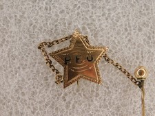 Unique 10K Gold PEO Sisterhood Sorority Pin Badge w/Staff