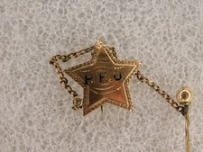 Unique 10K Gold PEO Sisterhood Sorority Pin Badge w/Staff