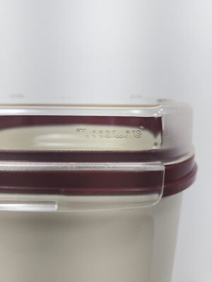 Vtg Tupperware Modular Mates 1622 Flip Top Clear Lid Hinged
