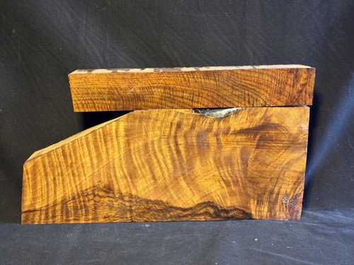 Circassian Walnut Shotgun Blank and Forearm #330
