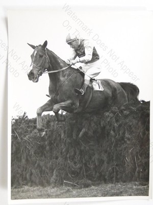 Pferderennen Steeplechase Jockey Sprungzaun Central Press London 1950er Vintage Foto