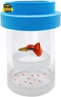 Floating Fish Breeding Isolation Box for Aquarium Tank Plastic Mesh Hatchery Inc