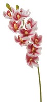 Artplants Deko Zweig Cymbidium Orchidee Lanakila, Pink-Weiß, 75Cm