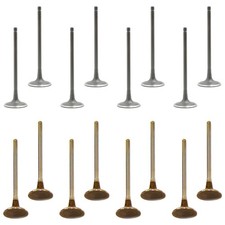 DNJ Engine 8 Intake & 8 Exhaust Valves Kit for Avenger Caliber Compass Journy L4