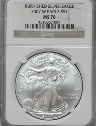 2007w Burnished Silver Eagle   NGC MS70   (367-007)