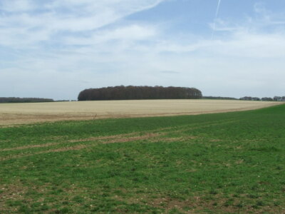 Foto 6x4 Augenfalle Plantage Narborough\/TF7412 Blick nach Osten Richtung Auge c2008